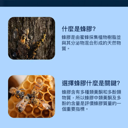【COMVITA 康維他】PFL15 蜂膠萃取精華液 25ml：圖片 3